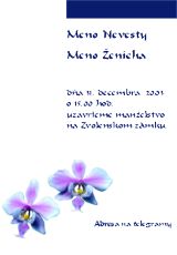 Vzor 12